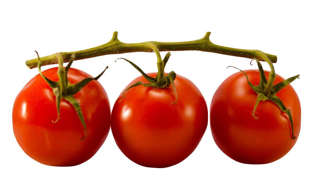 Tomatoes cherry, Tomatoes cherry png, Tomatoes cherry png image, Tomatoes cherry transparent png image, Tomatoes cherry png full hd images download